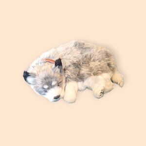 Perfect Petzzz sleeping Husky
